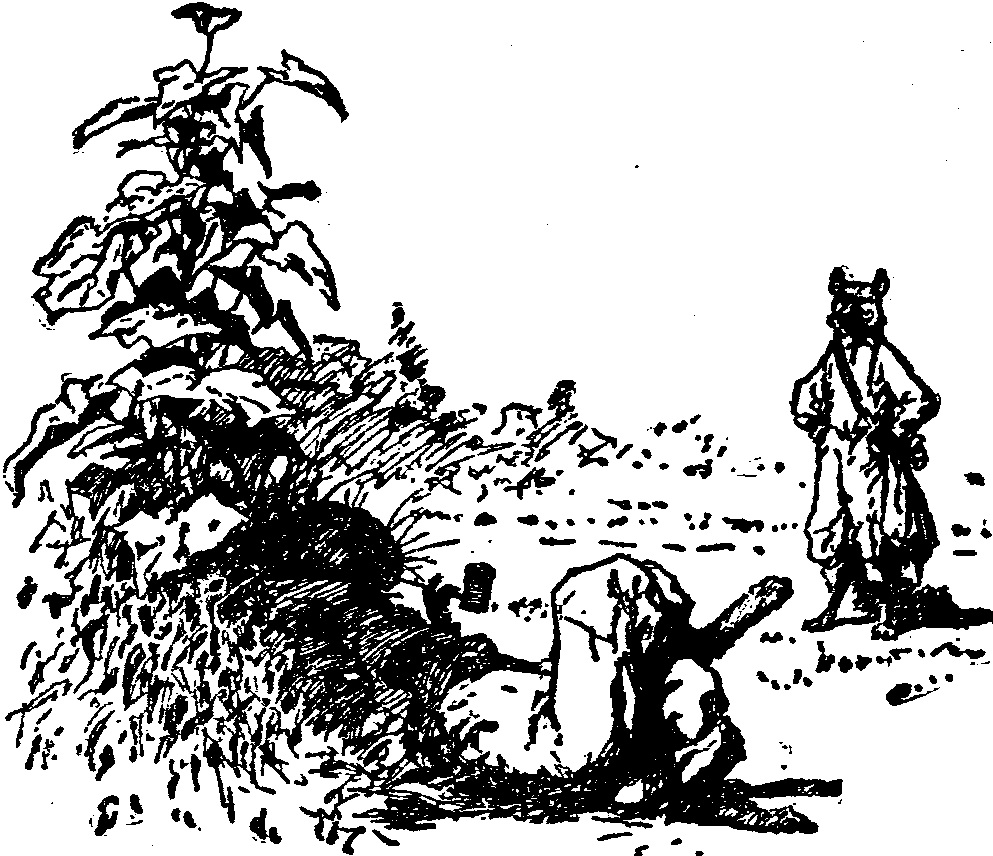 [Illustration] from  by 