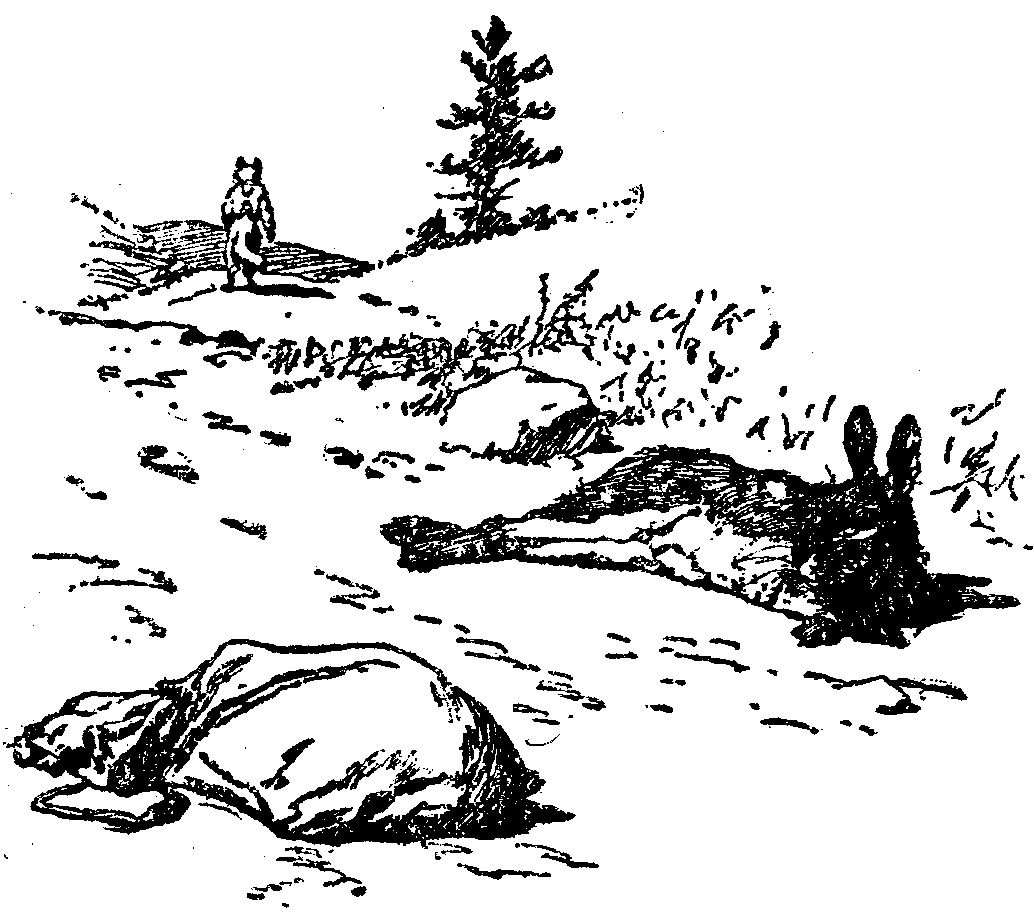 [Illustration] from  by 