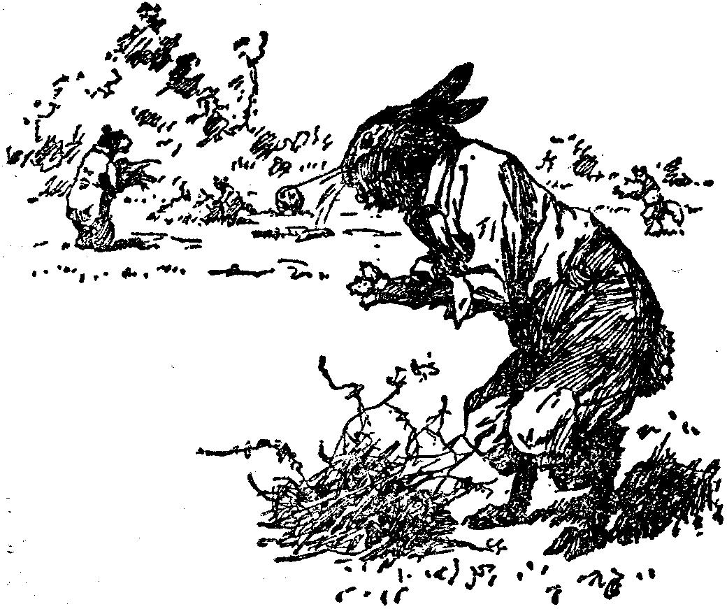 [Illustration] from  by 