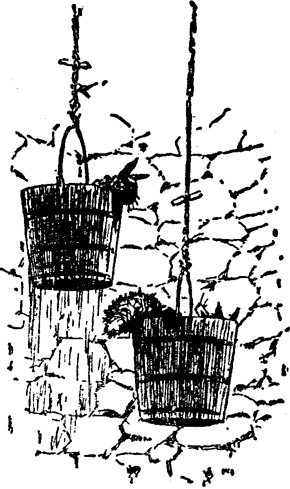 [Illustration] from  by 