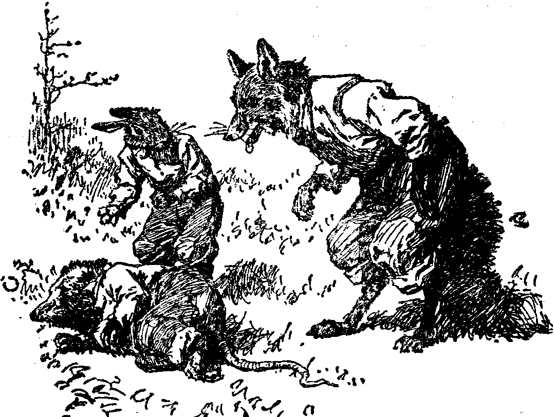 [Illustration] from  by 