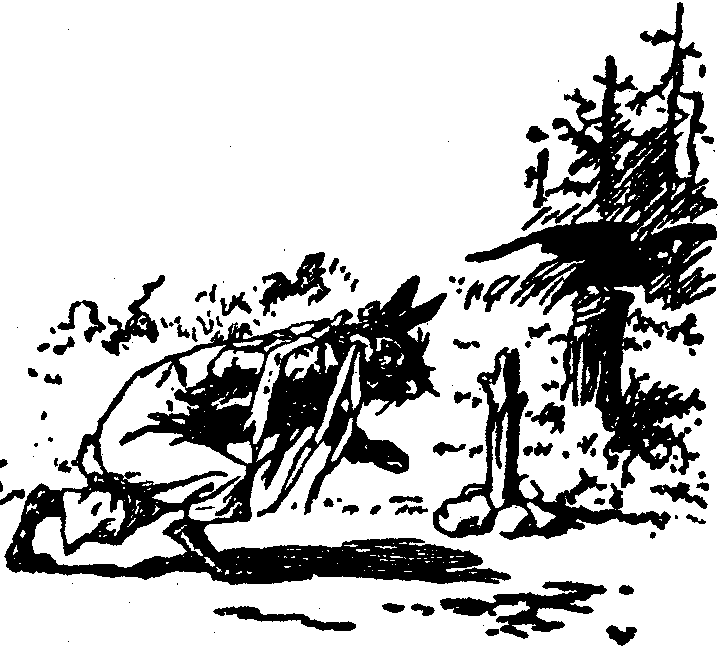 [Illustration] from  by 