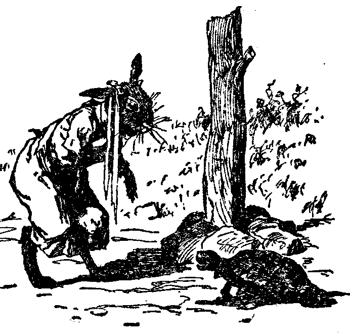 [Illustration] from  by 