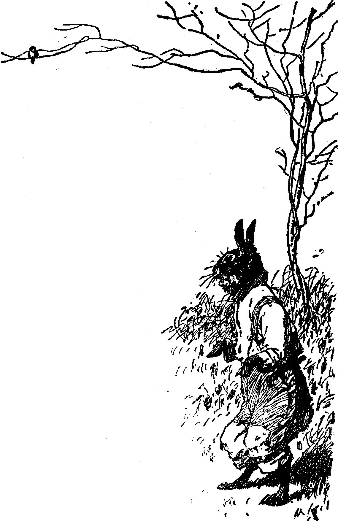 [Illustration] from  by 