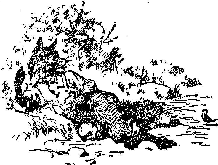 [Illustration] from  by 