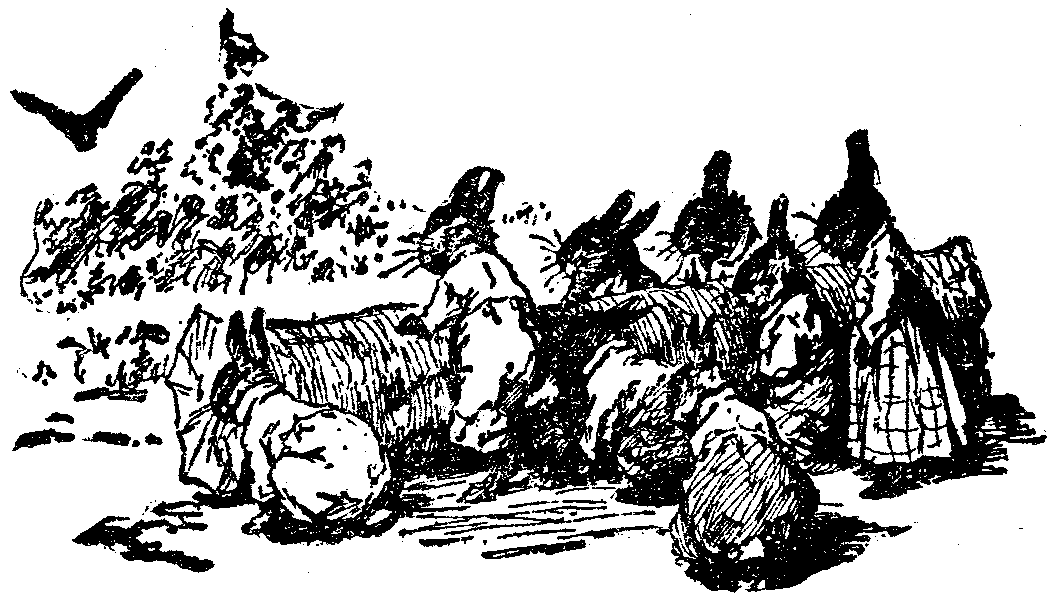 [Illustration] from  by 