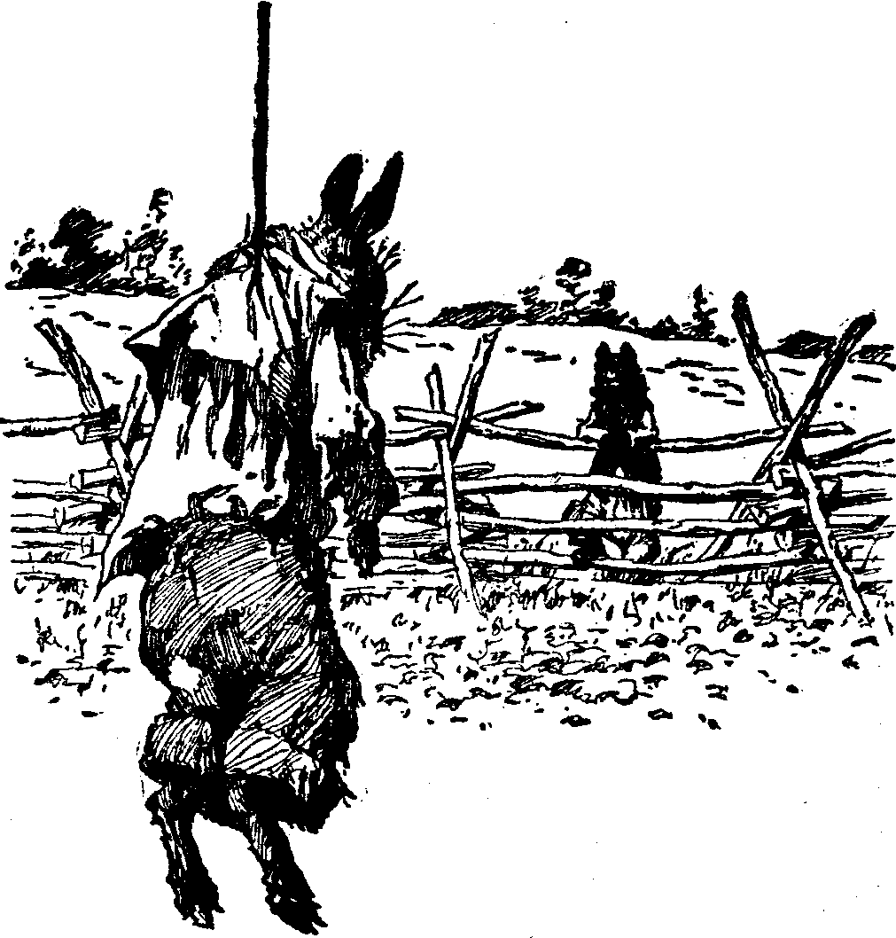 [Illustration] from  by 