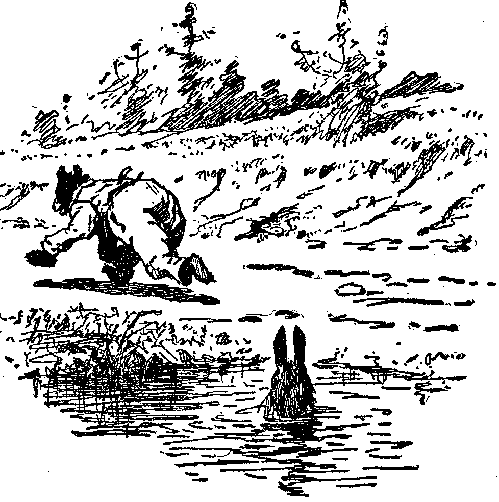 [Illustration] from  by 