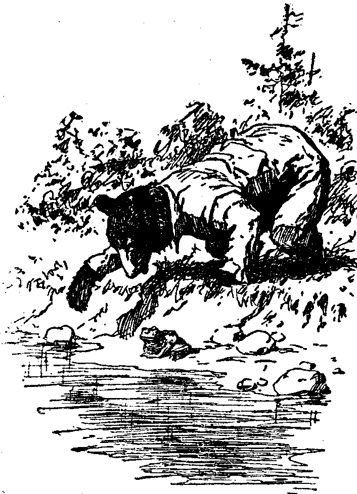 [Illustration] from  by 