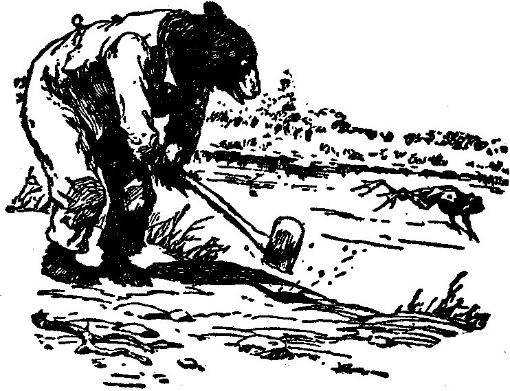 [Illustration] from  by 