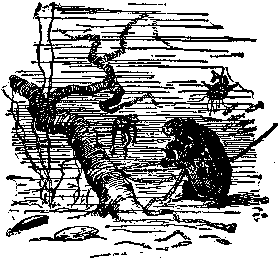 [Illustration] from  by 