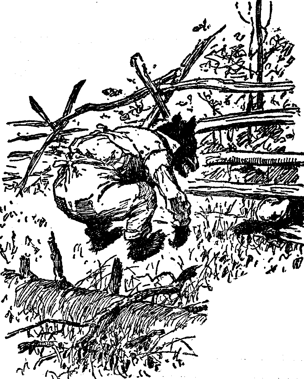 [Illustration] from  by 