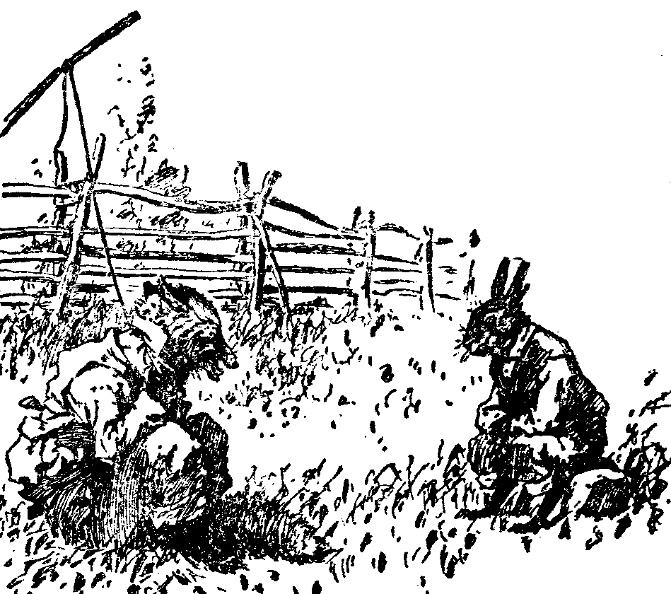 [Illustration] from  by 