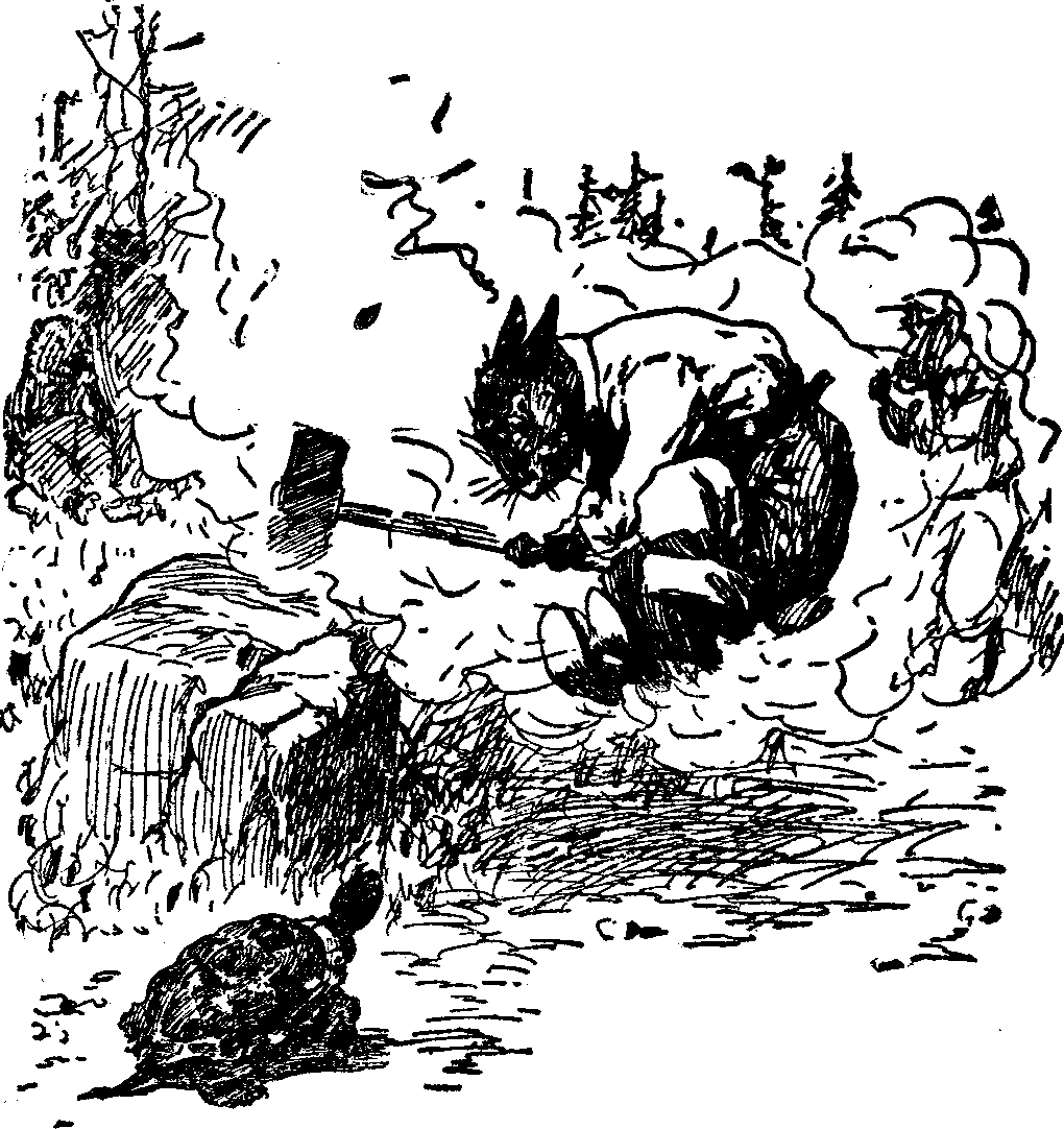 [Illustration] from  by 