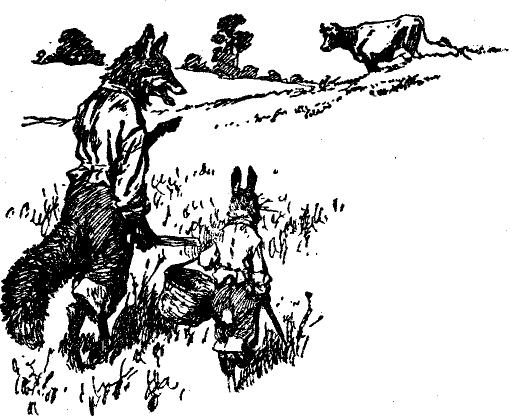 [Illustration] from  by 