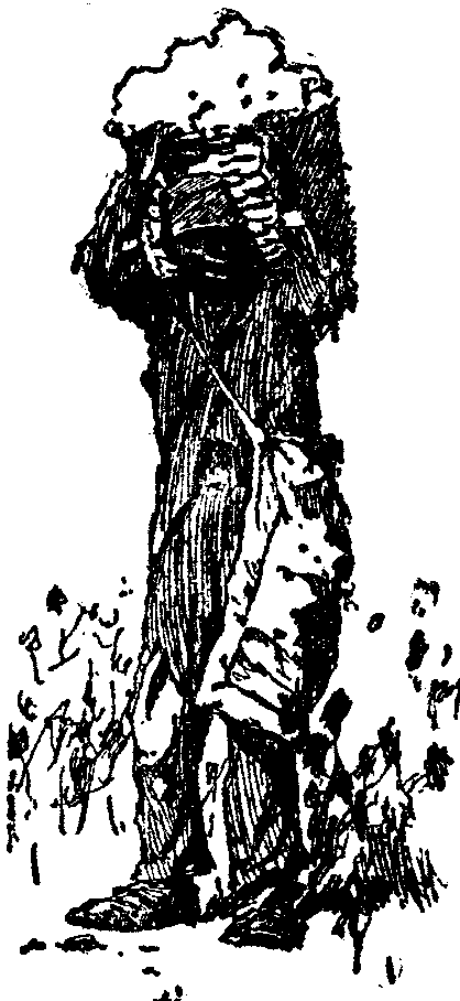 [Illustration] from  by 