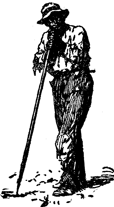 [Illustration] from  by 