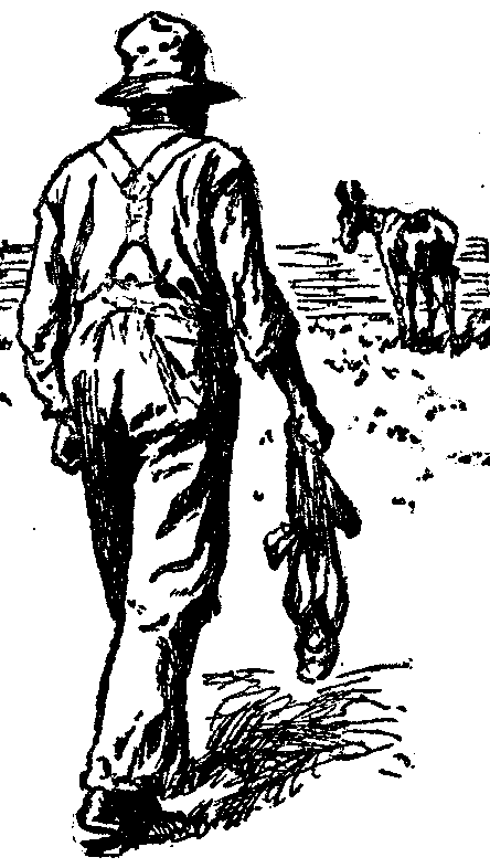 [Illustration] from  by 