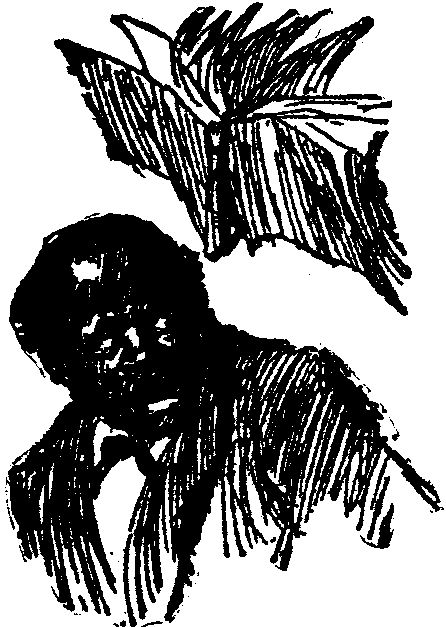 [Illustration] from  by 