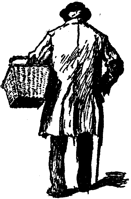 [Illustration] from  by 