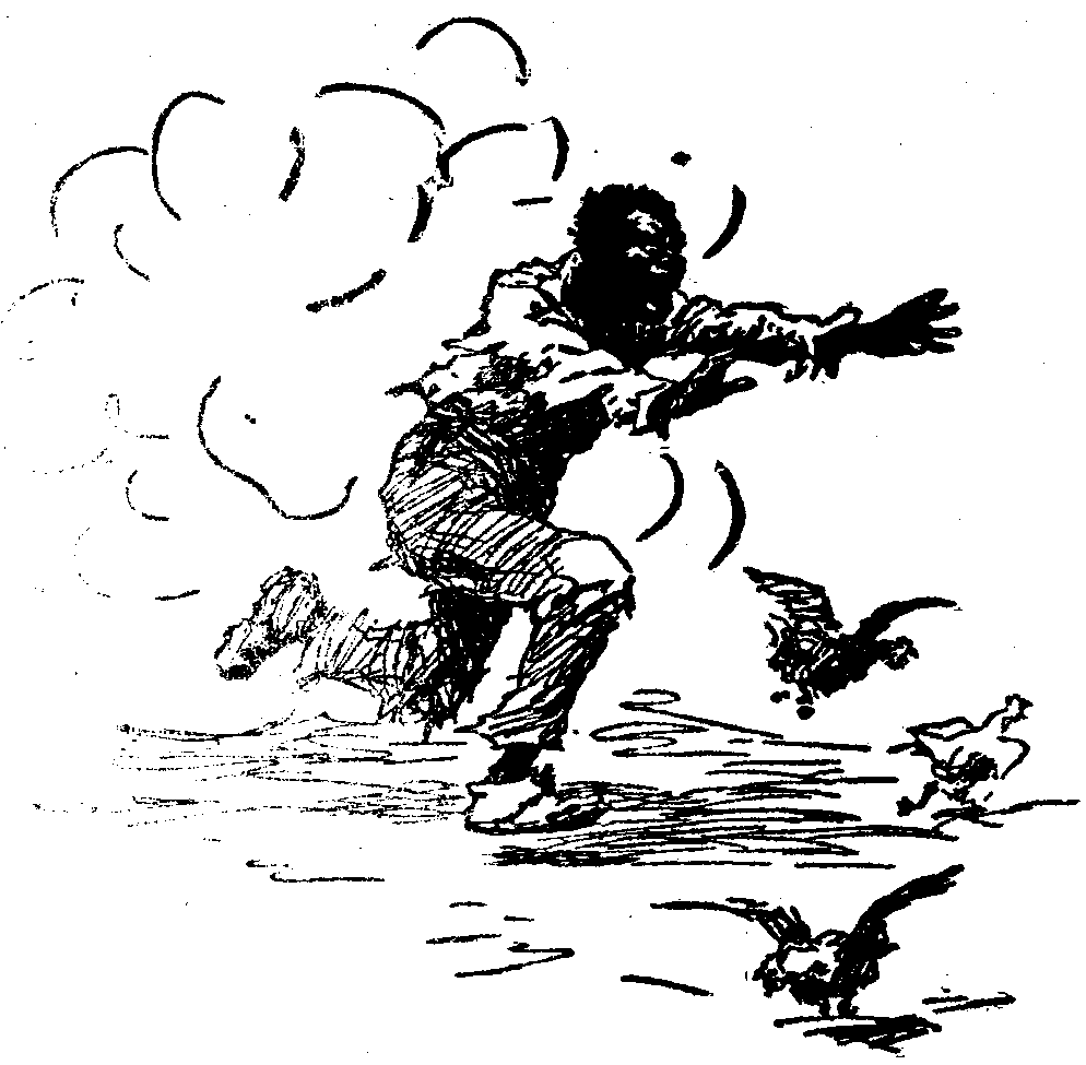 [Illustration] from  by 