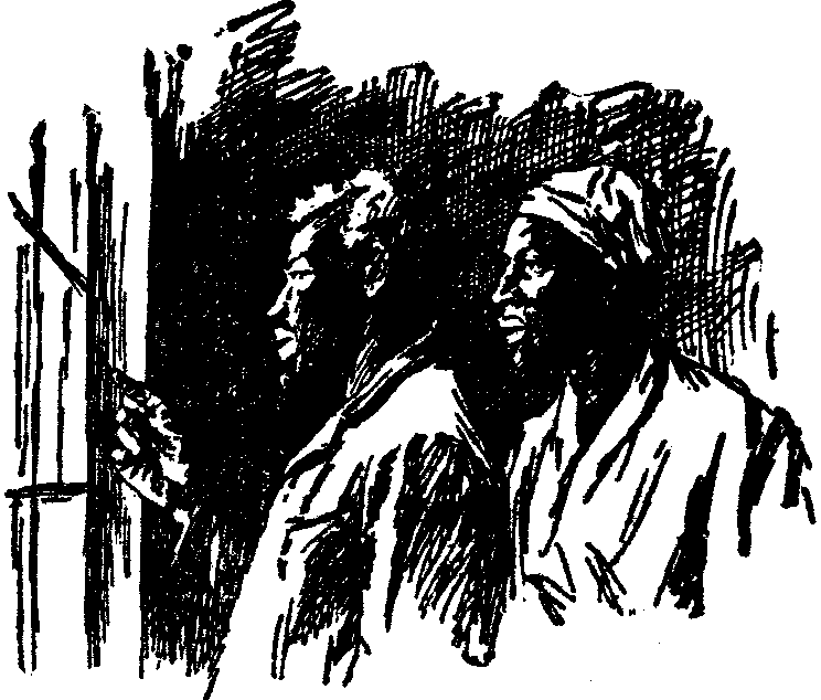 [Illustration] from  by 