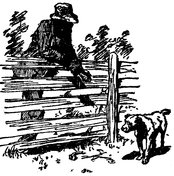 [Illustration] from  by 