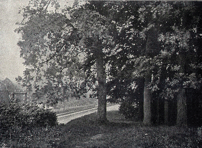 [Illustration] from Bismarck and German Empire by J. W. Headlam