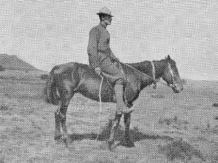 Hillegas at Sannapost