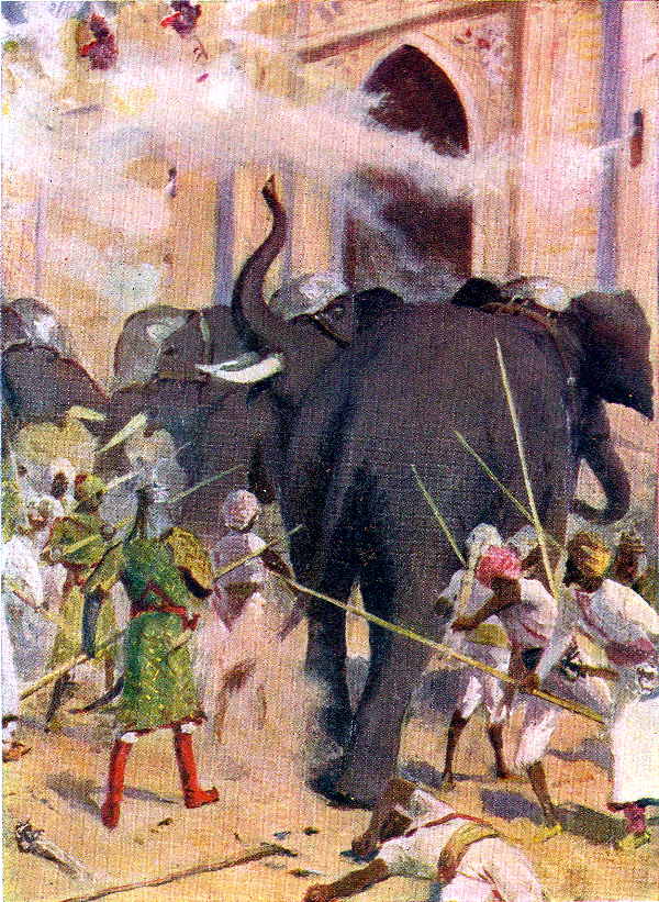 Elephants at Arcot