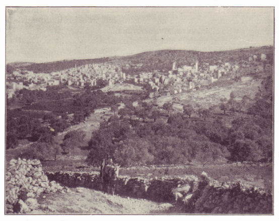 Hebron, where David went