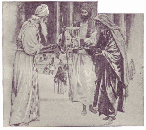 The baby Jesus brought to the temple