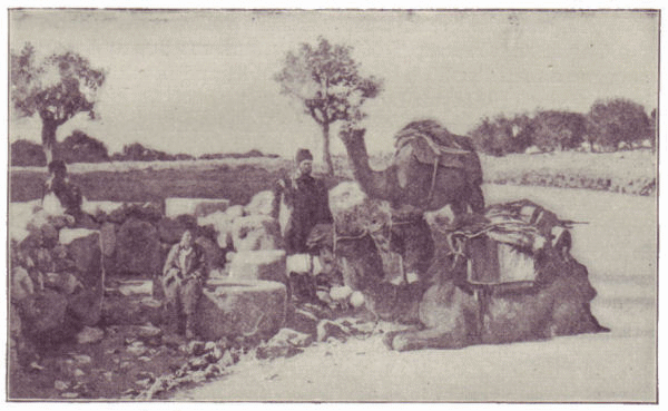 The well of the wise men, near Bethlehem