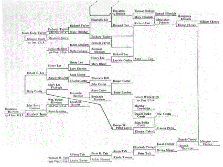 [Book Cover] from The Strange Death of FDR by Emanuel Josephson