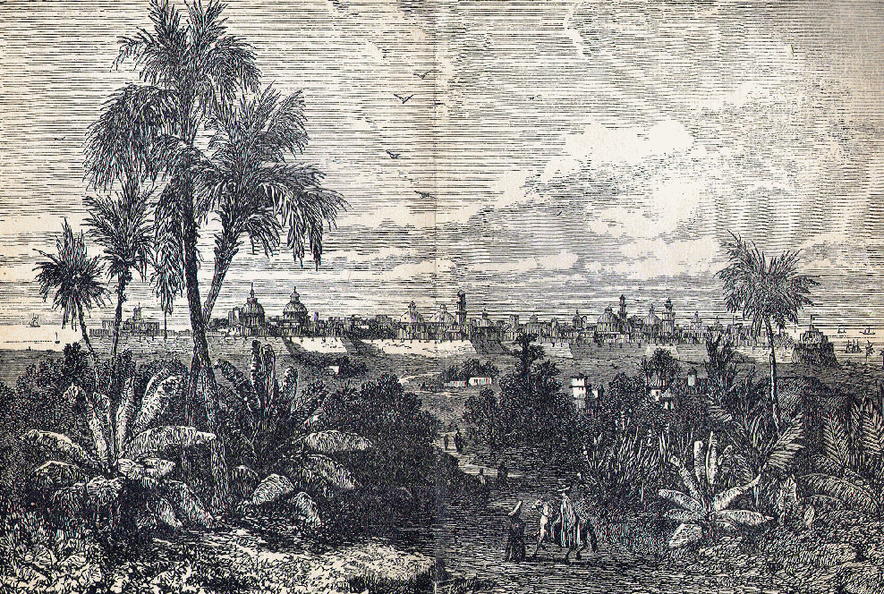 The City of Vera Cruz