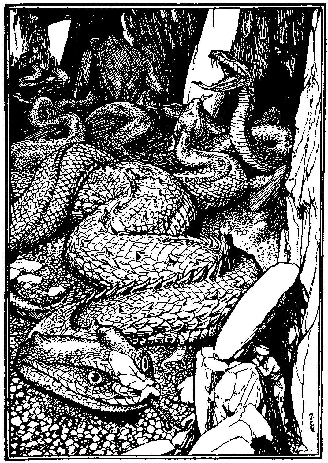 [Illustration] from The Arabian Nights by Andrew Lang