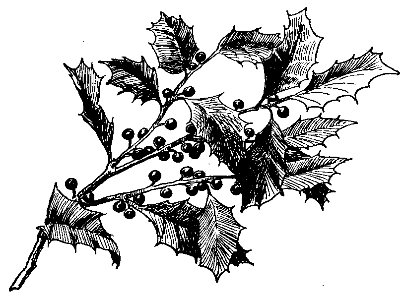 [Illustration] from Page - Esquire - Knight by Marion Lansing