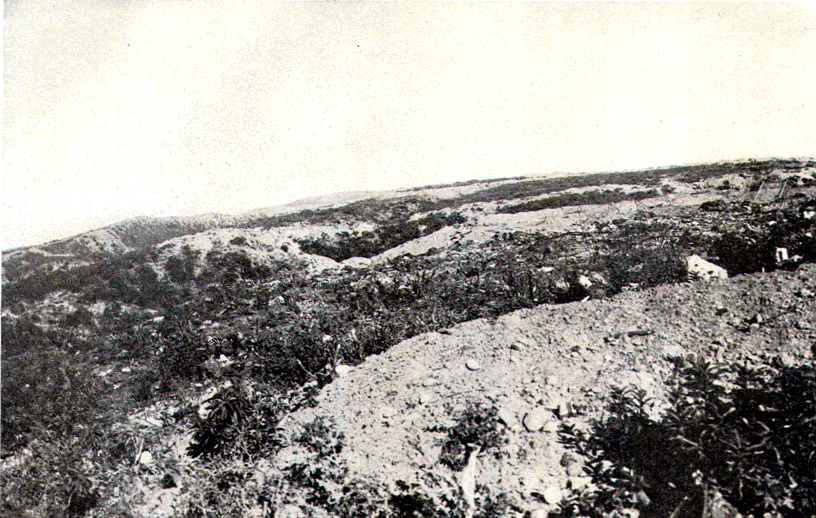 Trenches at Anzac