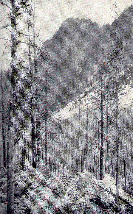 View in the Virginia mountains