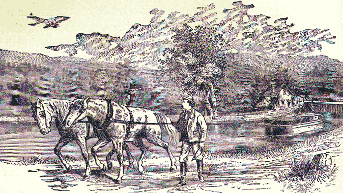 Garfield on the tow-path