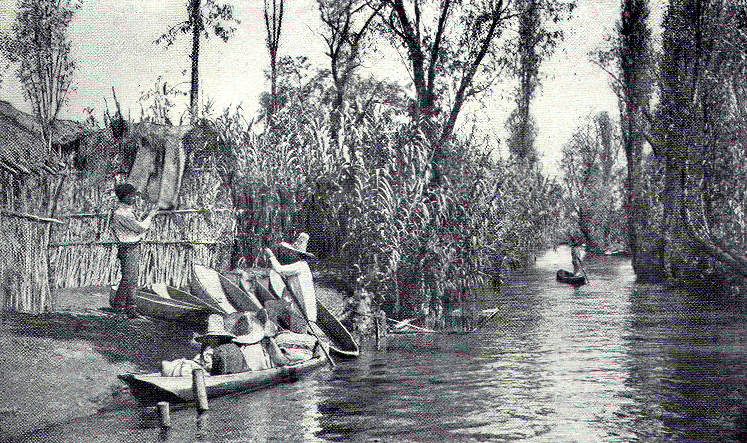 Floating gardens of the Chenapas