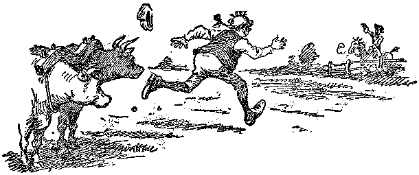 [Illustration] from Comic History of the U.S.A. by Bill Nye