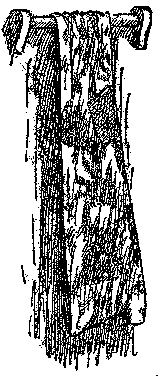 [Illustration] from Comic History of the U.S.A. by Bill Nye