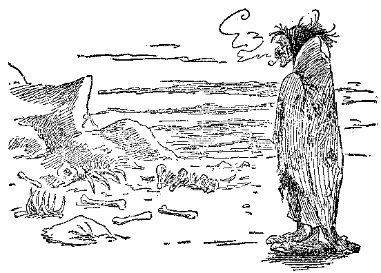 [Illustration] from Comic History of the U.S.A. by Bill Nye