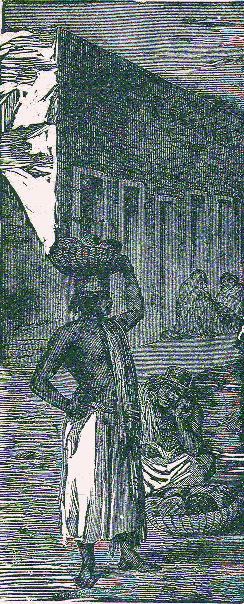 [Illustration] from History of Mexico by Frederick Ober