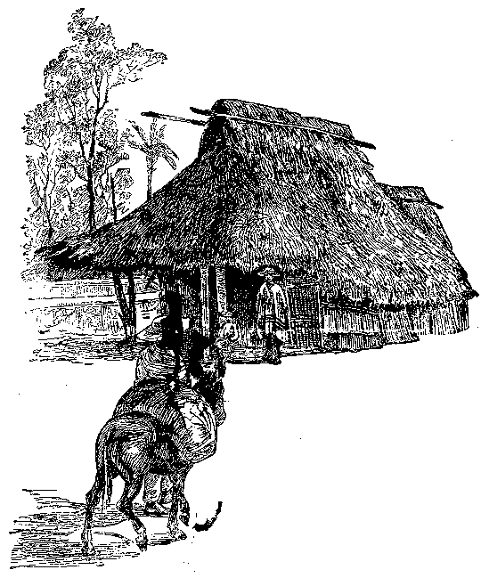 View in Tierra Caliente.