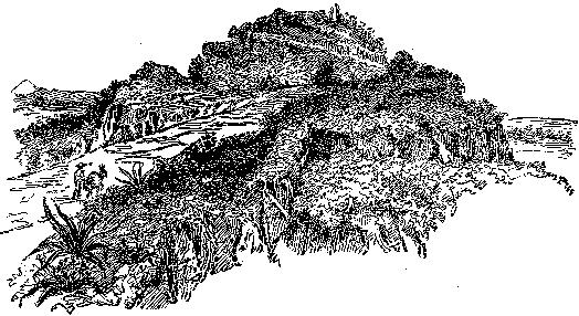 [Illustration] from History of Mexico by Frederick Ober