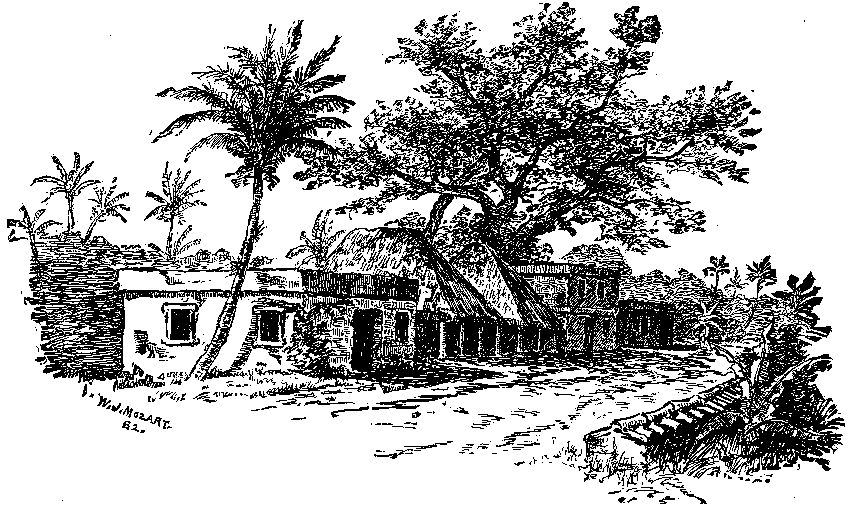 Scene in the tierra templada, or temperate country