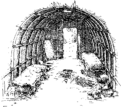 [Illustration] from Peter of New Amsterdam by James Otis