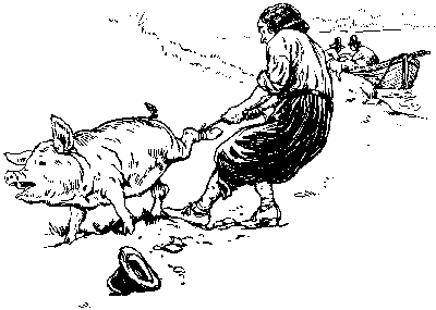 [Illustration] from Peter of New Amsterdam by James Otis